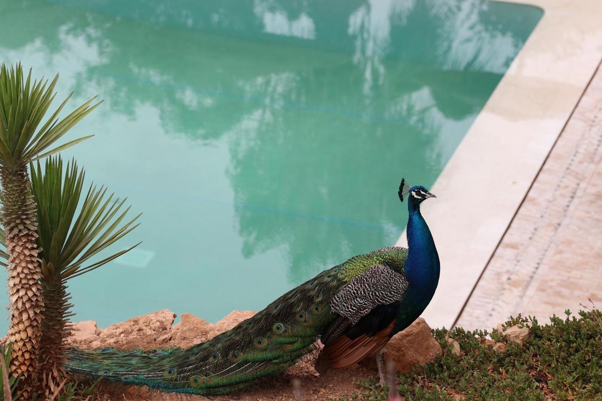 Paradis Nomade Azrarag エクステリア 写真